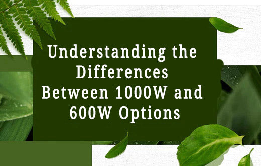 Understanding the Differences Between 1000W and 600W Options
