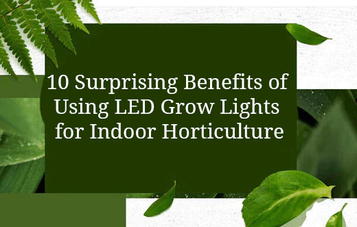 10 Surprising Benefits of Using LED Grow Lights for Indoor Horticulture