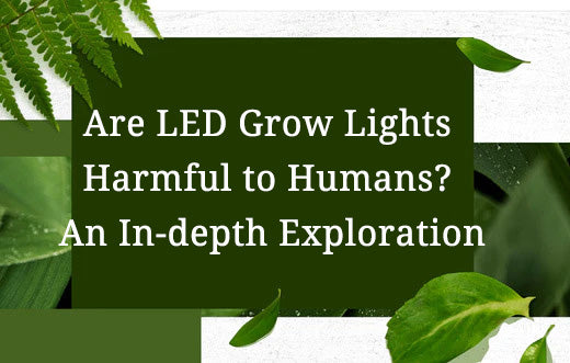 Are LED Grow Lights Harmful to Humans? An In-depth Exploration
