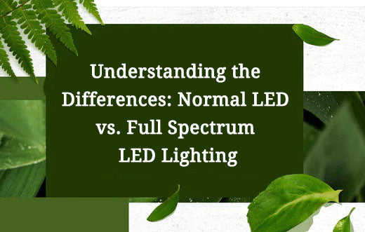 Understanding the Differences: Normal LED vs. Full Spectrum LED Lighting