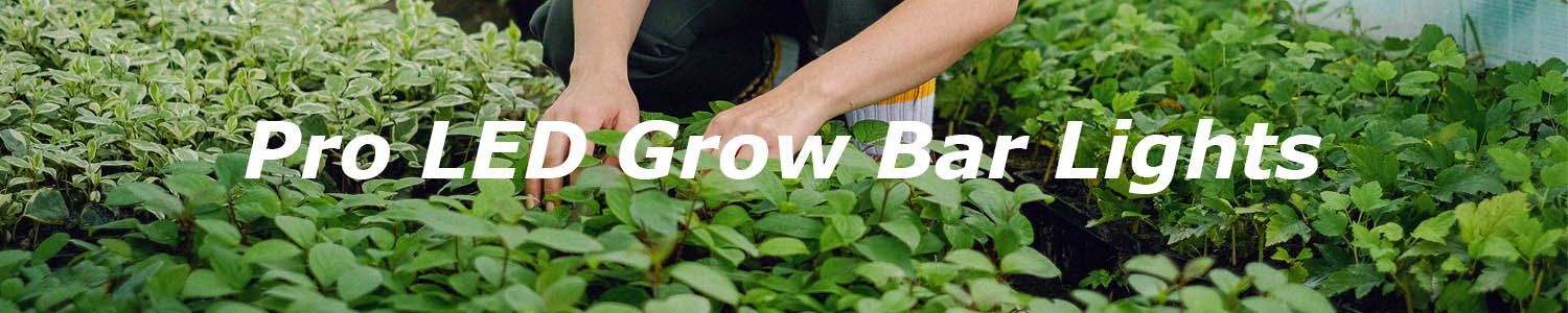 PHLIZON pro LED grow bar lights