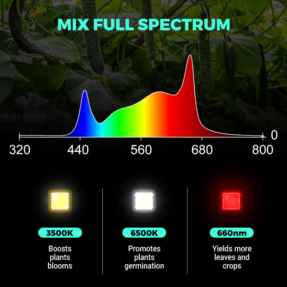 PHLIZON FD8000 - 1000W LED Grow Light: Full-Spectrum, Dimmable with Samsung 281B LEDs