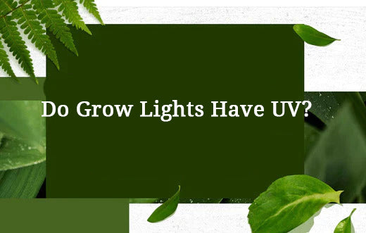 Do Grow Lights Have UV?
