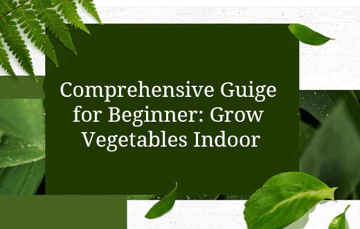Comprehensive Guige for Beginner: Grow Vegetables Indoor
