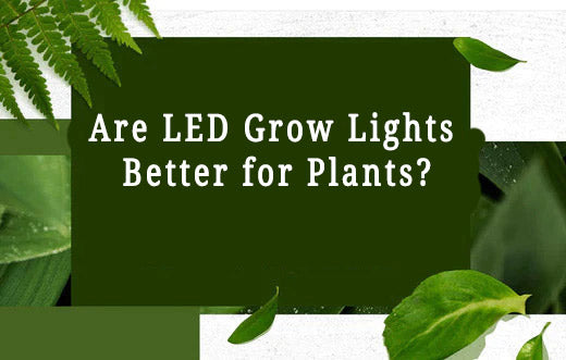 Are LED Grow Lights Better for Plants?