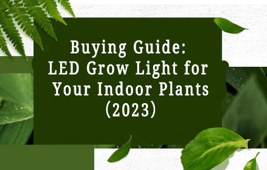 Buying Guide: LED Grow Light for Your Indoor Plants