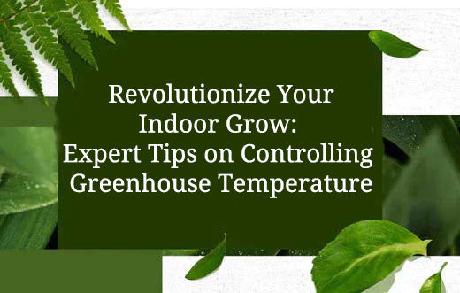 Revolutionize Your Indoor Grow: Expert Tips on Controlling Greenhouse Temperature
