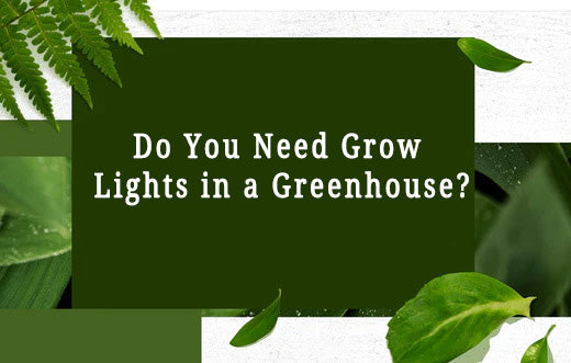 Do You Need Grow Lights in a Greenhouse?