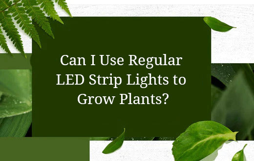 Can I Use Regular LED Strip Lights to Grow Plants?