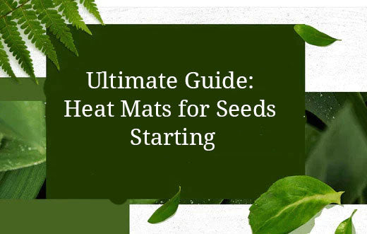 Ultimate Guide: Heat Mats for Seeds Starting