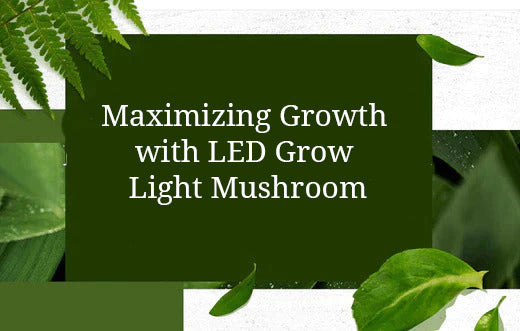 Maximizing Growth with LED Grow Light Mushroom