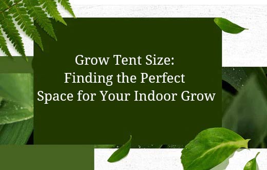 Grow Tent Size: Finding the Perfect Space for Your Indoor Grow