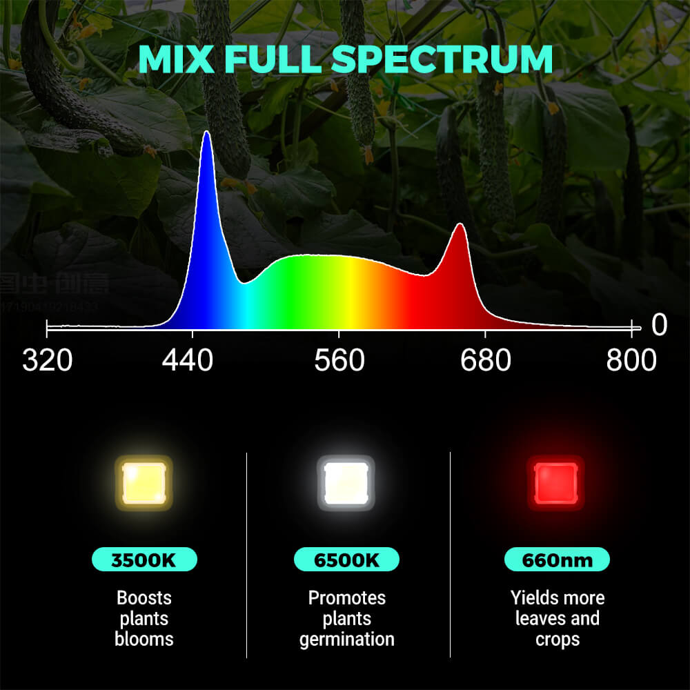 PHLIZON FD6000 PLUS 640W Full-spectrum Dimmable LED Grow Light with Detachable Driver