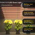 PHLIZON Grow Light PHLIZON PH-B8-D PLUS 640W Full-spectrum UV/IR LED Grow Light Triple-channel Dimming PH-B8-D