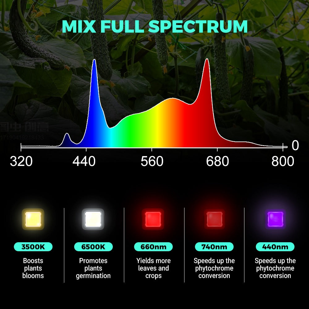 PHLIZON Grow Light PHLIZON PH-B8-D PLUS 640W Full-spectrum UV/IR LED Grow Light Triple-channel Dimming PH-B8-D