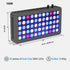 PHLIZON US Official Store M Wills Aquarium Light 100W Full Spectrum LED Reef Lights for Coral Saltwater Fish Tank, Soft/LPS Corals Blue/White Dual Dimmable Channels,55 Premium SMD LEDs, Daisy Chain Design, Hanging Kit A40