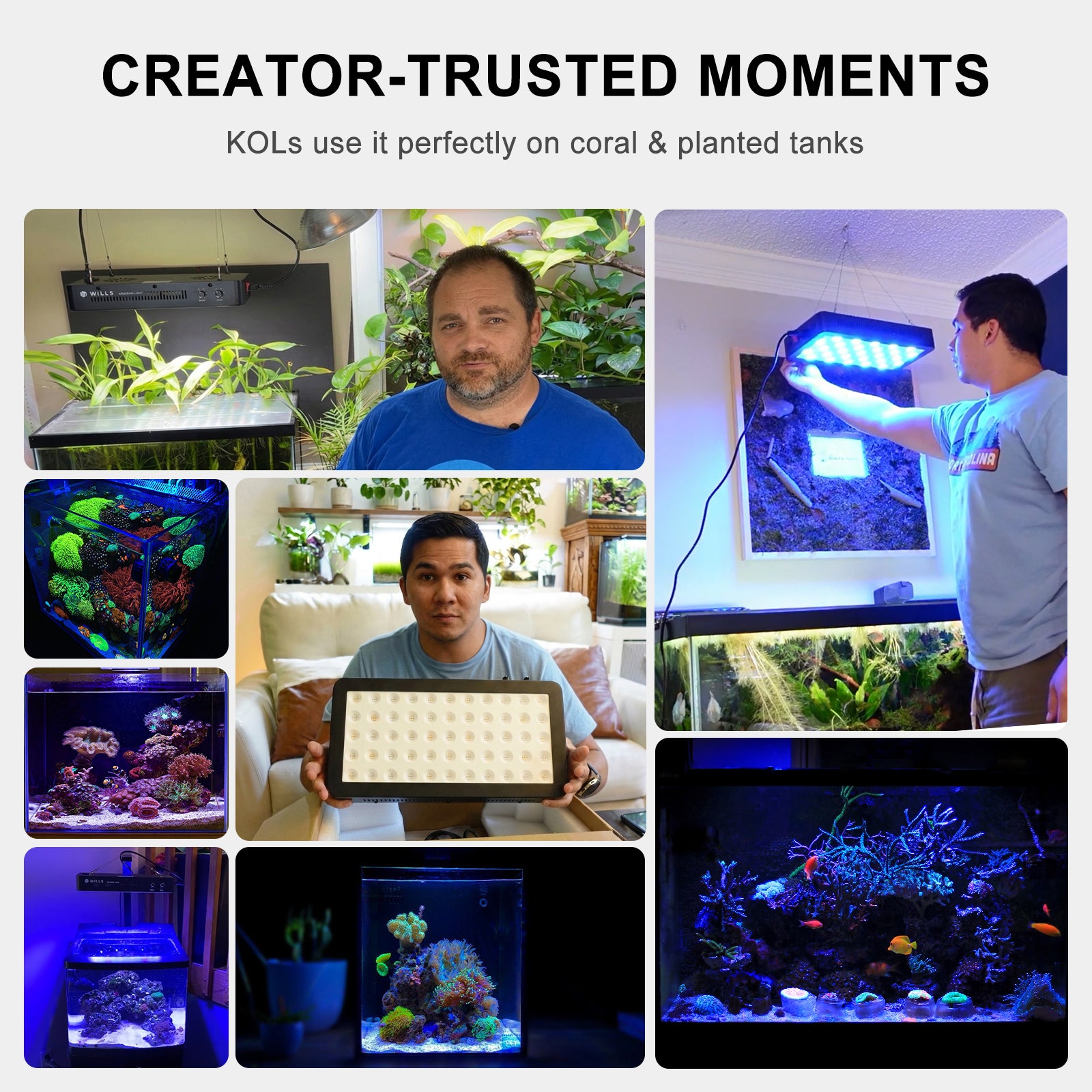 PHLIZON US Official Store Wills Aquarium Light 100W Full Spectrum LED Reef Lights for Coral Saltwater Fish Tank, Soft/LPS Corals Blue/White Dual Dimmable Channels,55 Premium SMD LEDs, Daisy Chain Design, Hanging Kit