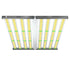 PHLIZON FD8000 1000W Full-spectrum Dimmable LED Grow Light with Samsung 281B LED